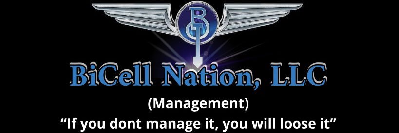 BiCell_Nation's profile banner image