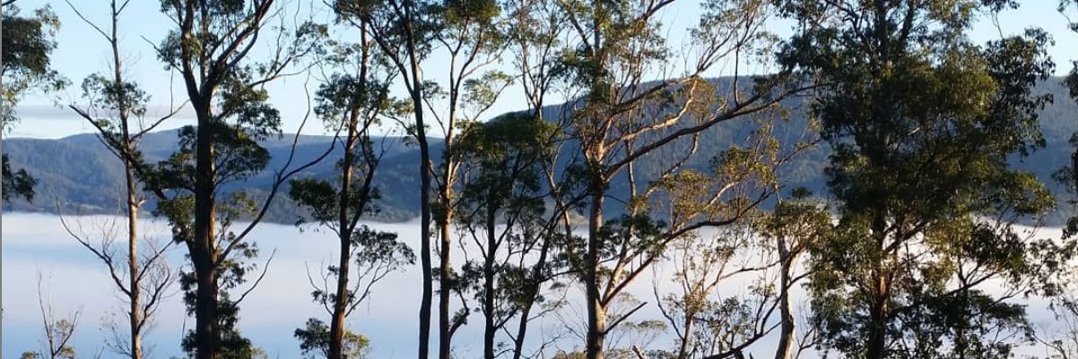 Robbie Arnott banner