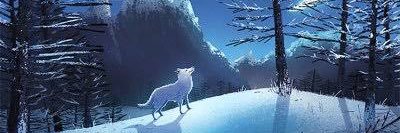 toldcall03's profile banner image