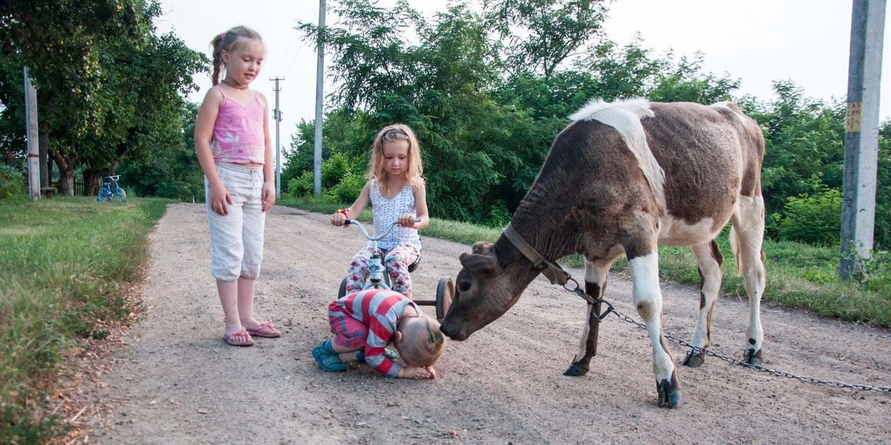 Organic Farming banner