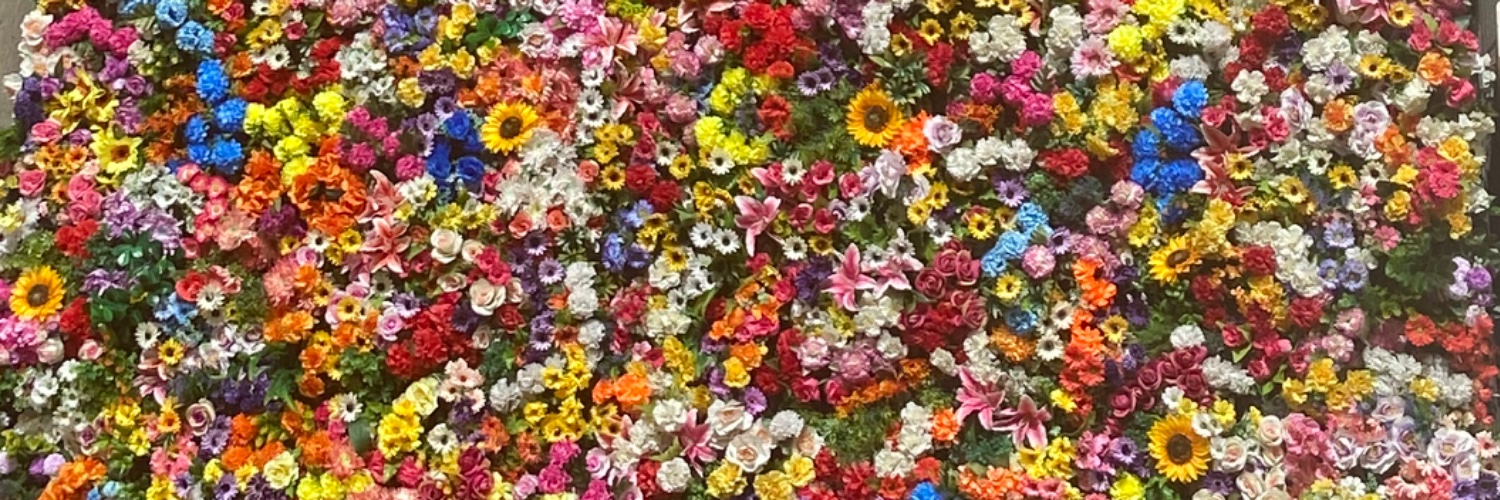 lorodguez's profile banner image