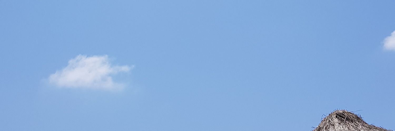 lessconsumption banner