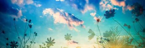 rabo_event's profile banner image