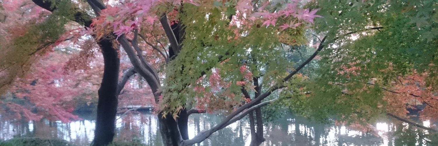 OrecaBass's profile banner image