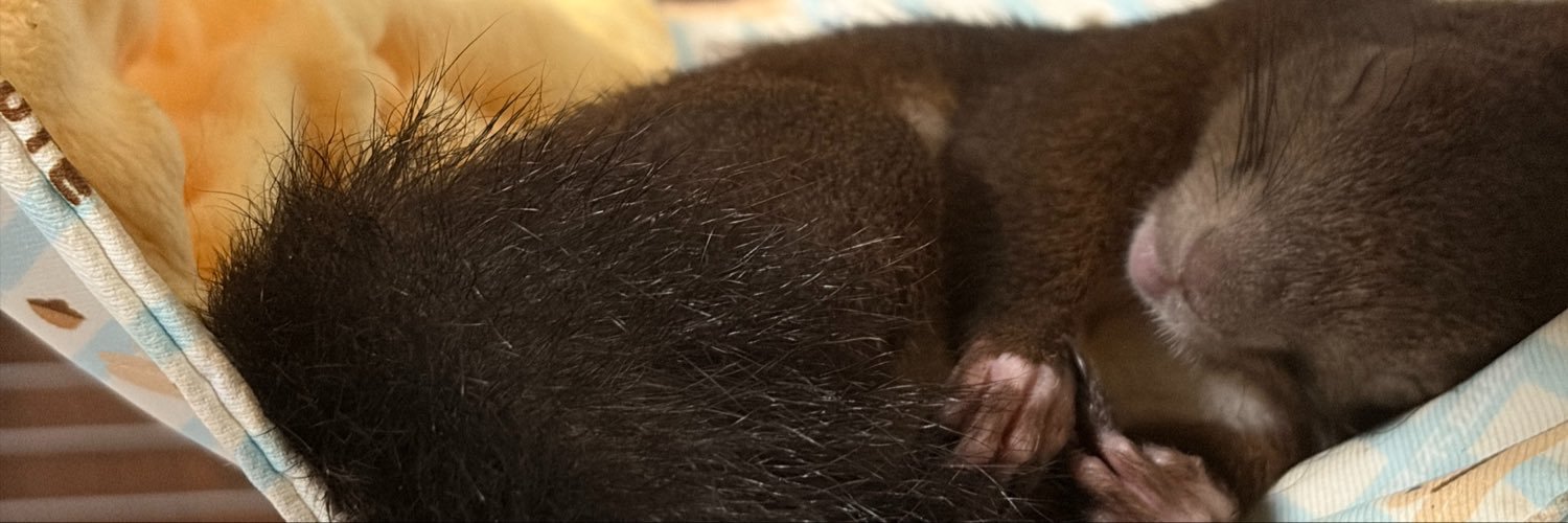 Amingzi's profile banner image