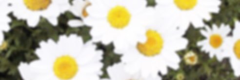 tag___yrm's profile banner image