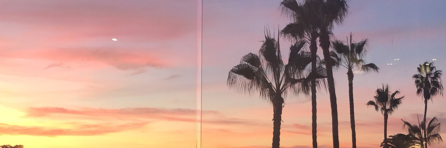 Meghan Sebasky MD banner