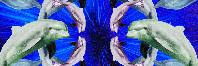 katherinesmells's profile banner image