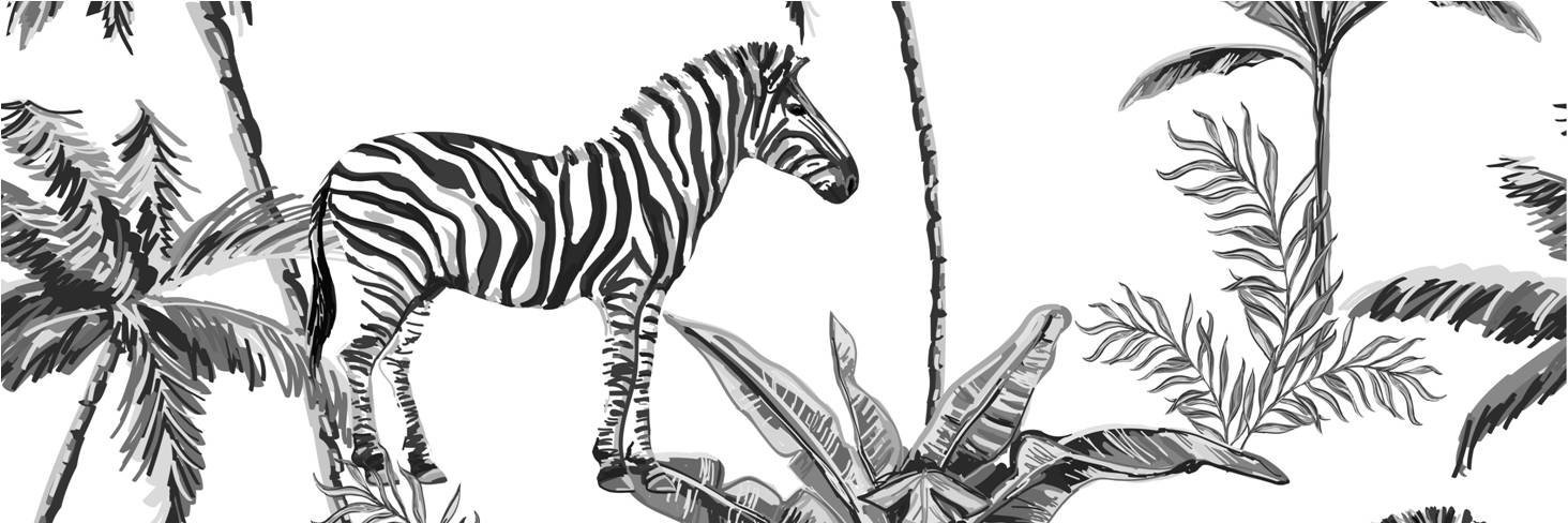 NavigateLtd's profile banner image