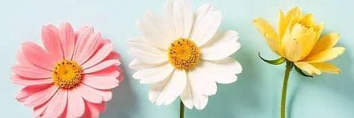 ummimadar's profile banner image
