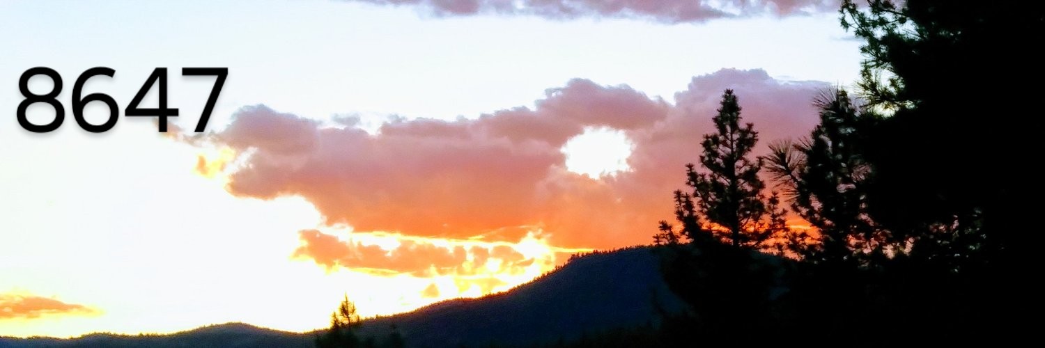 G. 8647 🏔️🌲 banner