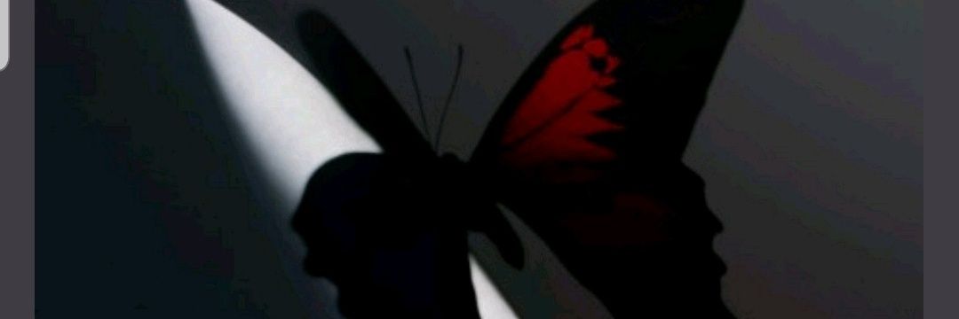 mikolosa's profile banner image