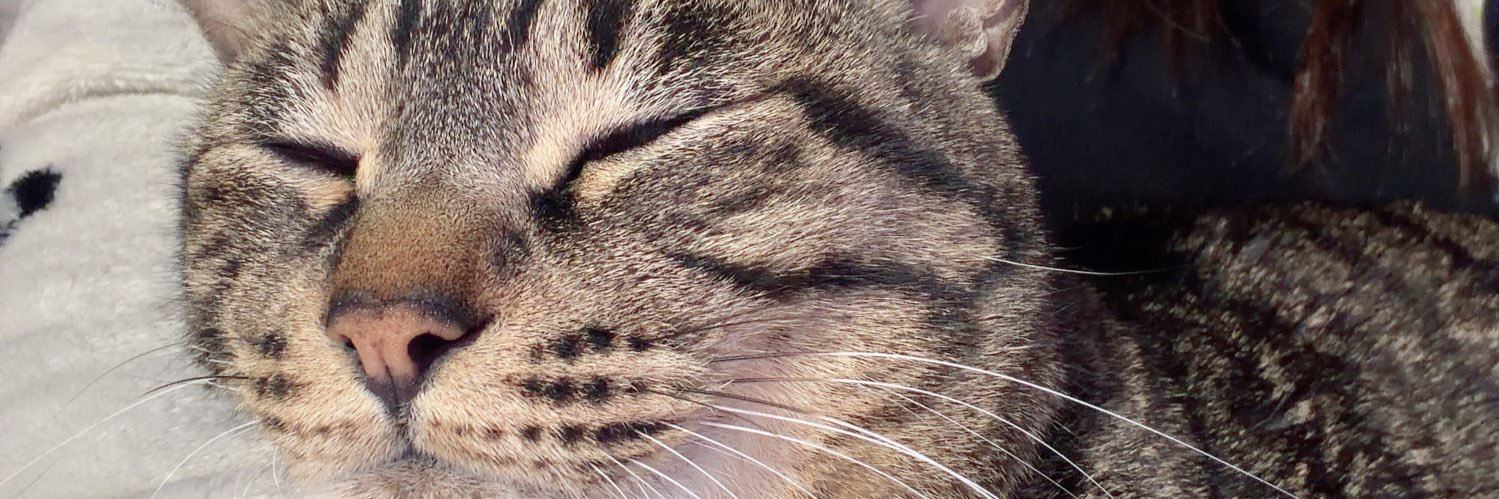 chocolatte0102's profile banner image