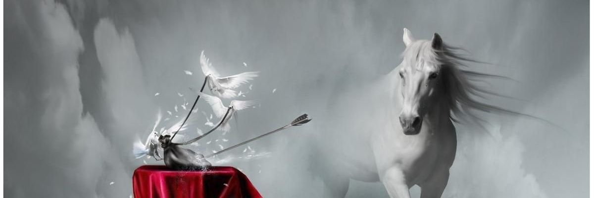 noor7295's profile banner image