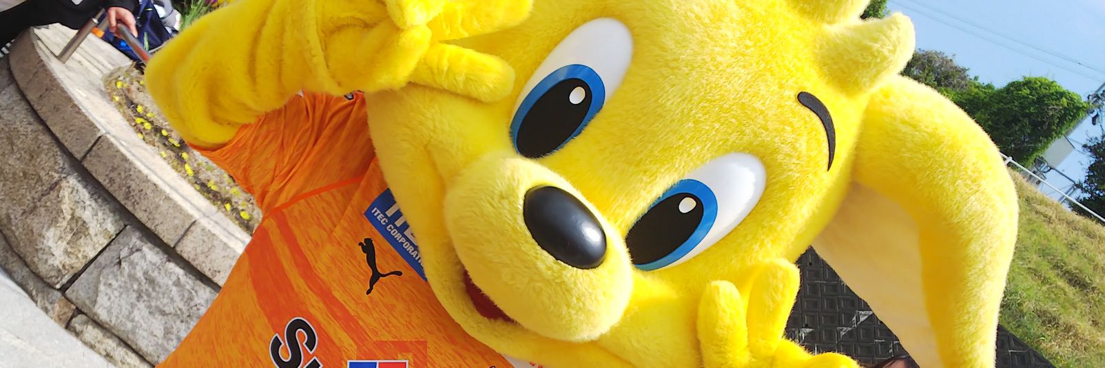 ☆ﾐ hotate banner