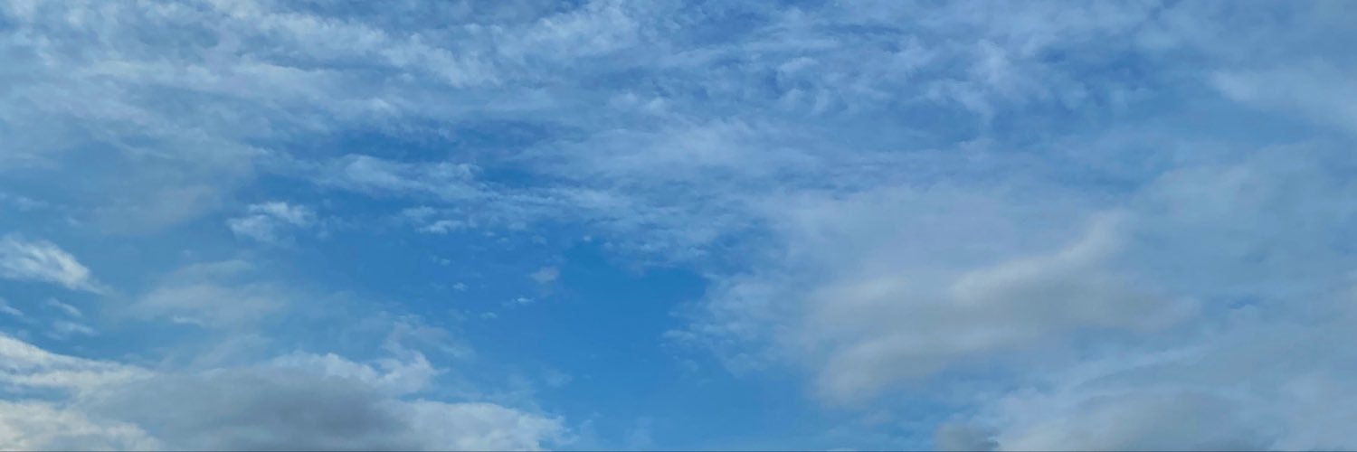 swrrrt's profile banner image