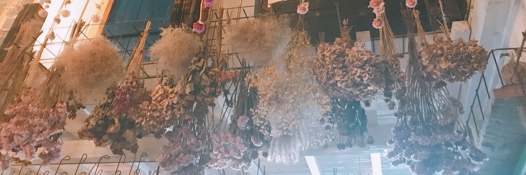 mp_517's profile banner image