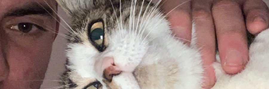 AntoineSatragno's profile banner image