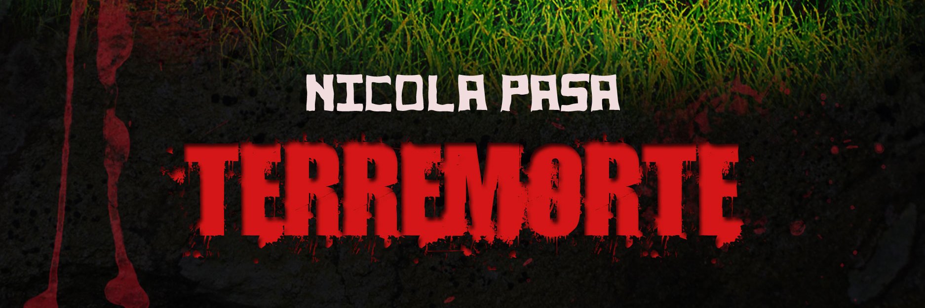 nicolapasa's profile banner image