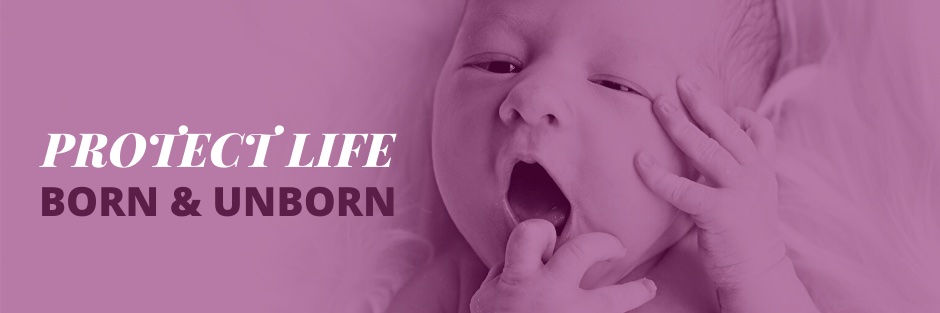 ohiolife's profile banner image