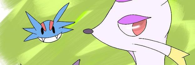 shin banner