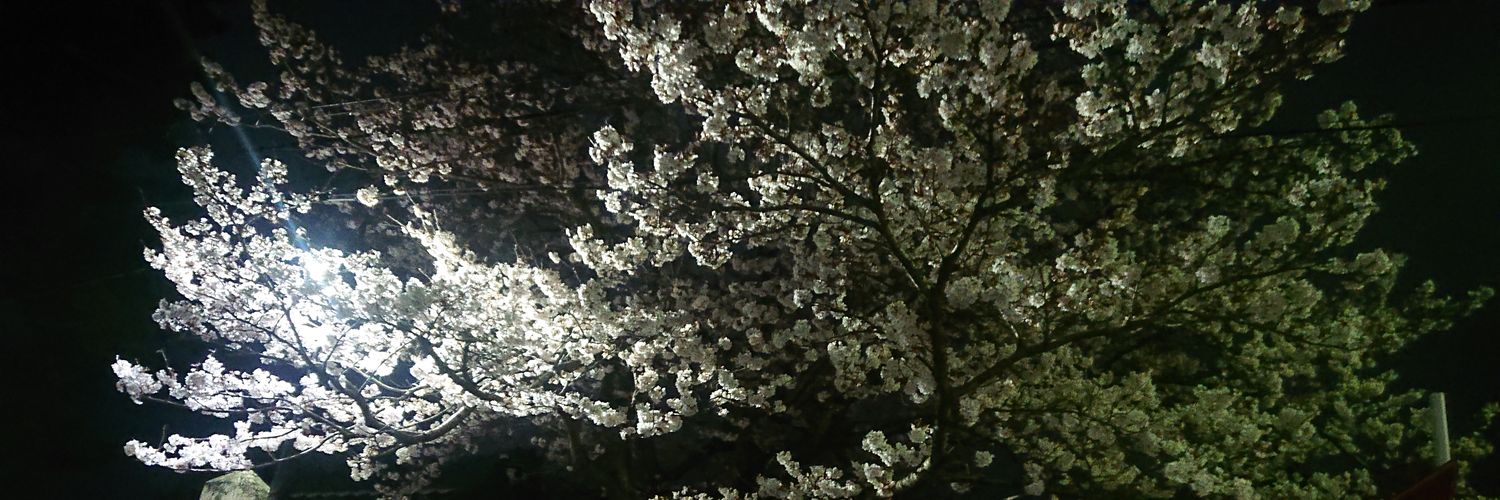 aya1122ginn's profile banner image