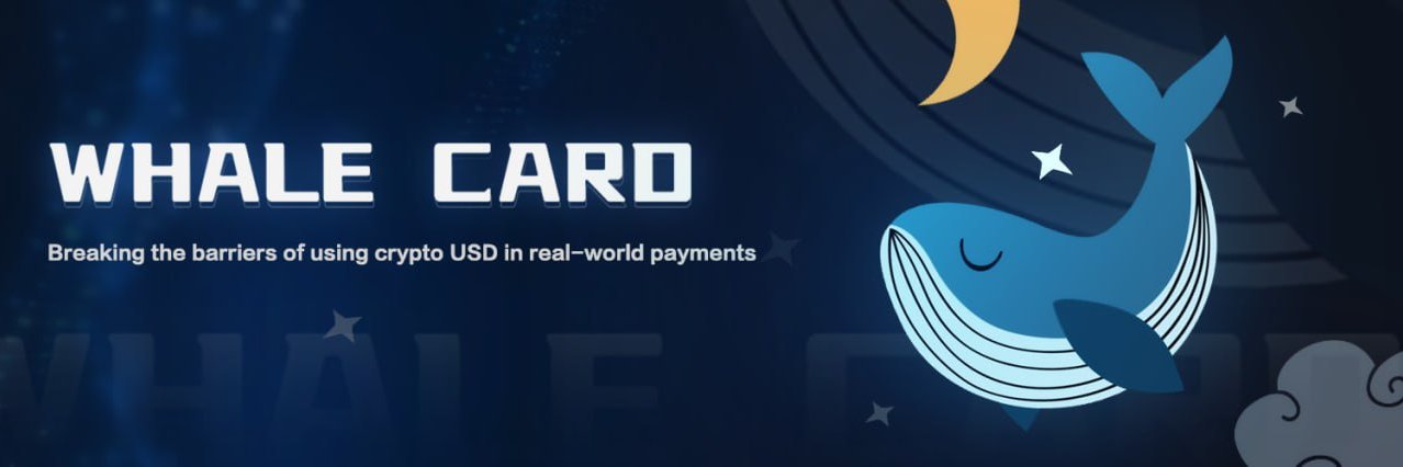 WhaleCards's profile banner image