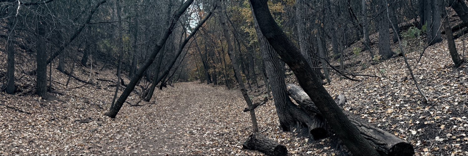 ArthurAlterEgo's profile banner image