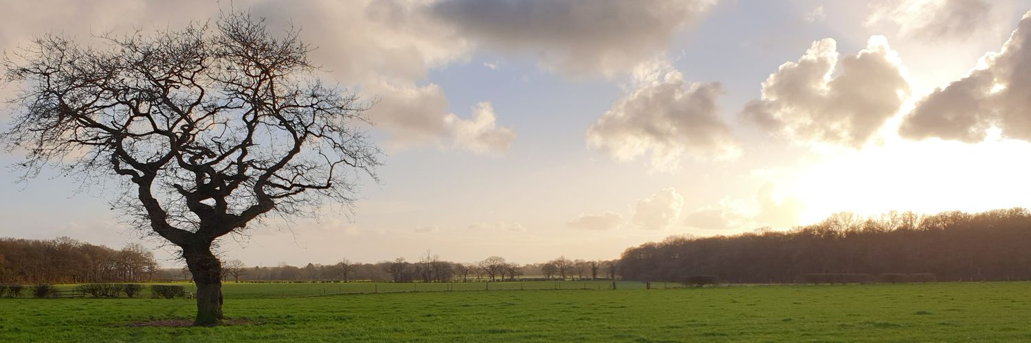 richleeman's profile banner image
