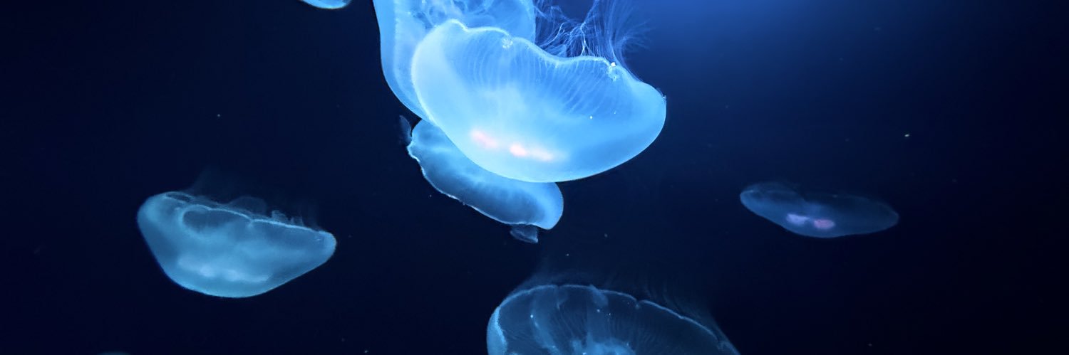 stingray_692's profile banner image