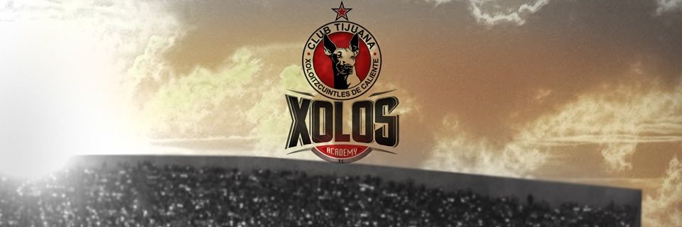 XolosFCMN's profile banner image