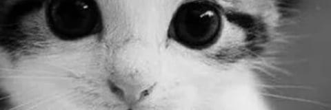 77_MA_77's profile banner image