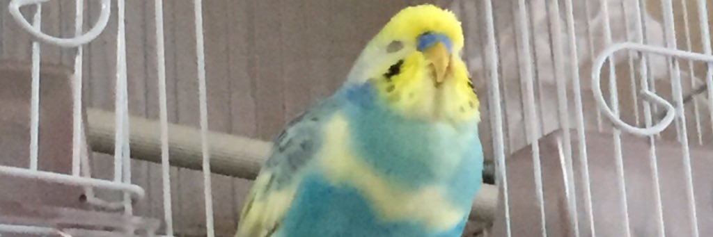 peee__000's profile banner image