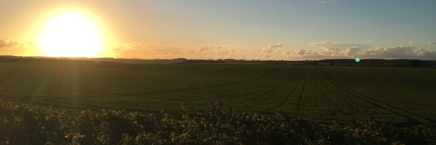 NickInge's profile banner image