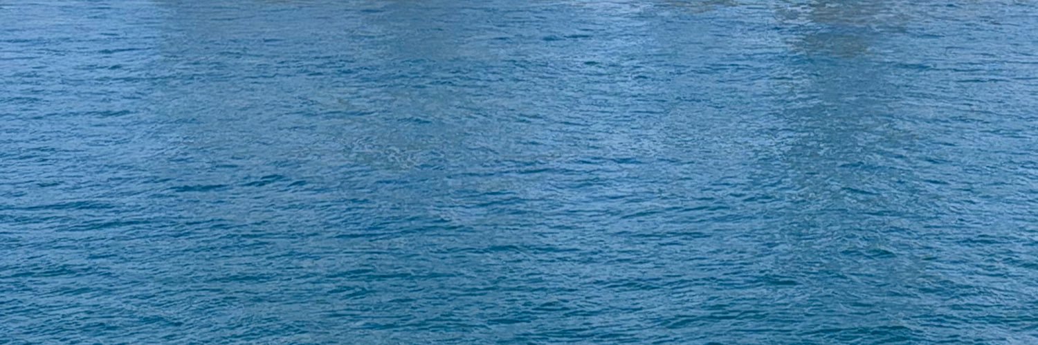 。 banner