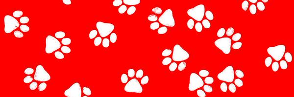 CMSNorthPTO Profile Banner