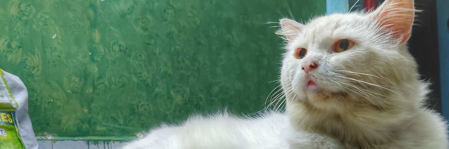 ameensnr's profile banner image