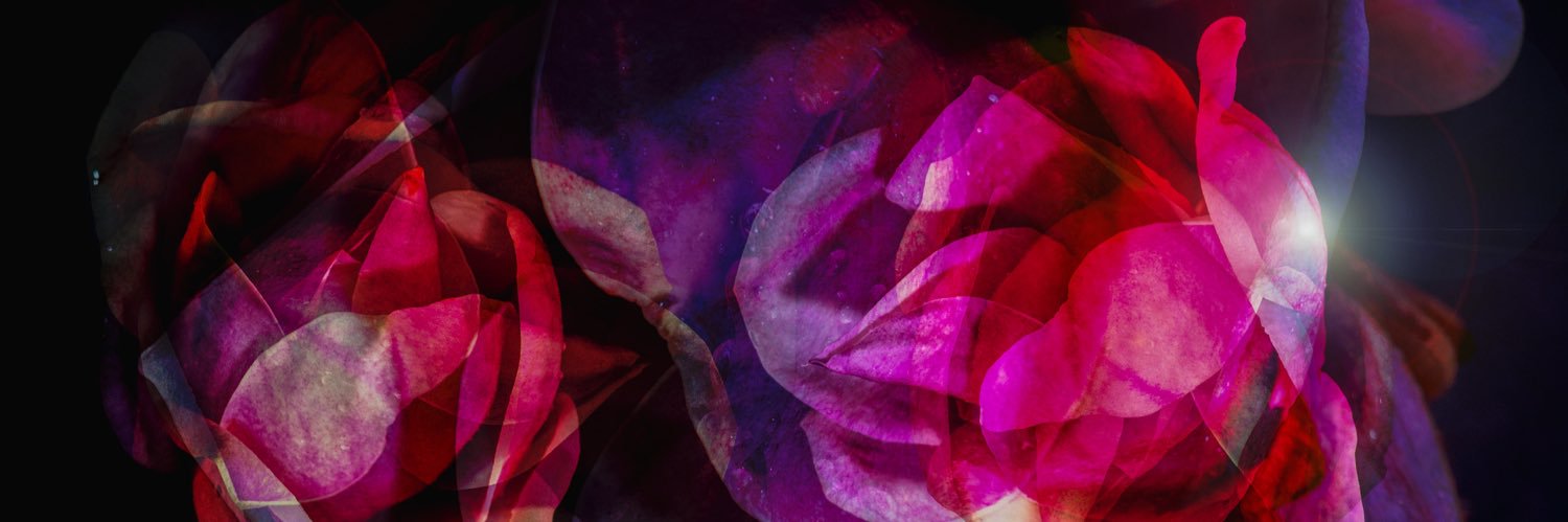 NielsNebel's profile banner image