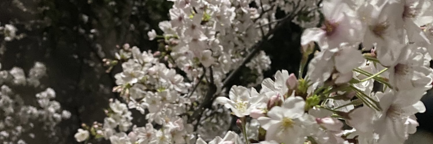 hicky5517's profile banner image