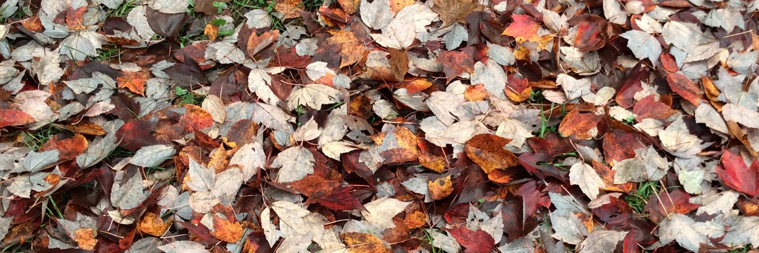 Gitika's PakGhor banner