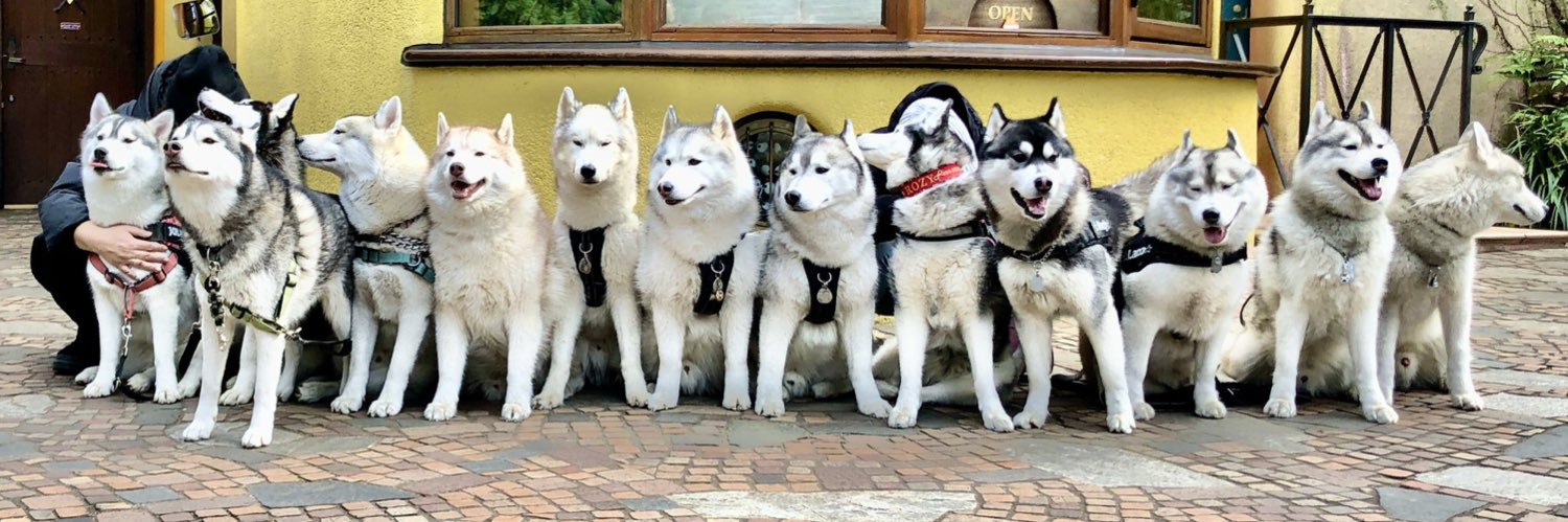 𓃶𓃵屋 羊 山(ﾔｷﾞﾔ)𓃲𓃵 banner