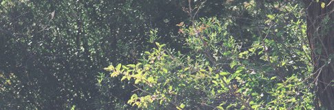 Sinabroatti's profile banner image