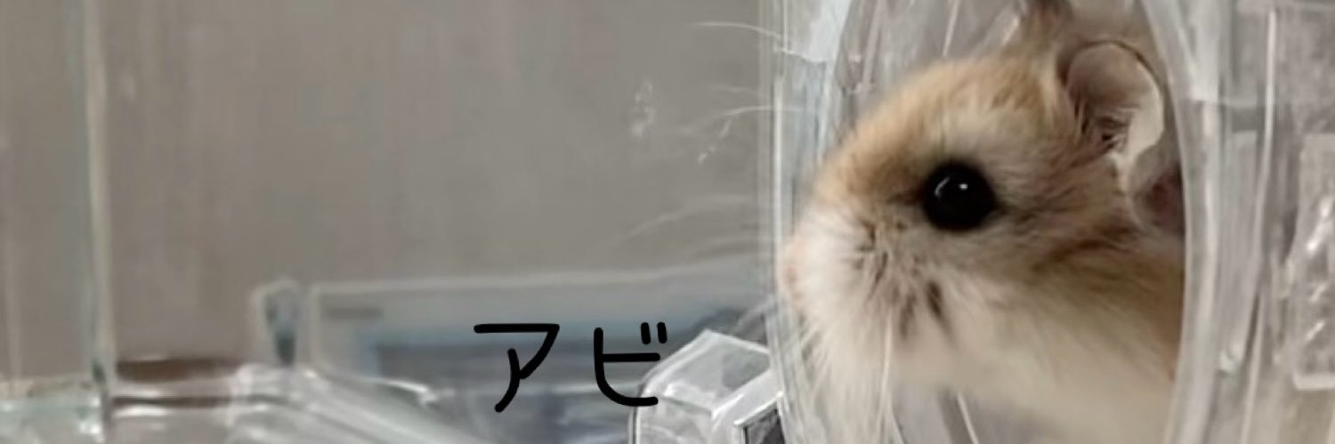 roborobo555's profile banner image