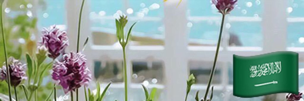 NN2_2__'s profile banner image