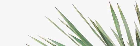 ontweettoo's profile banner image