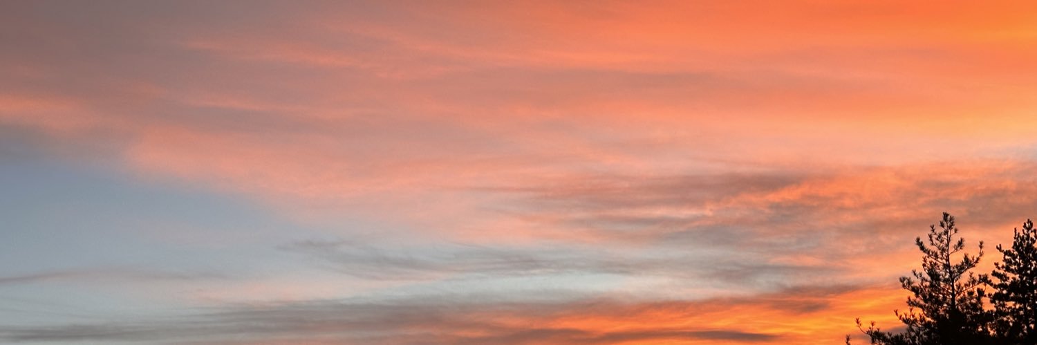 _nelsonmm's profile banner image