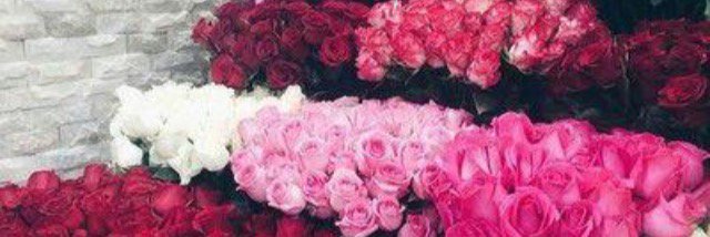 { مز آج & روقيه } banner