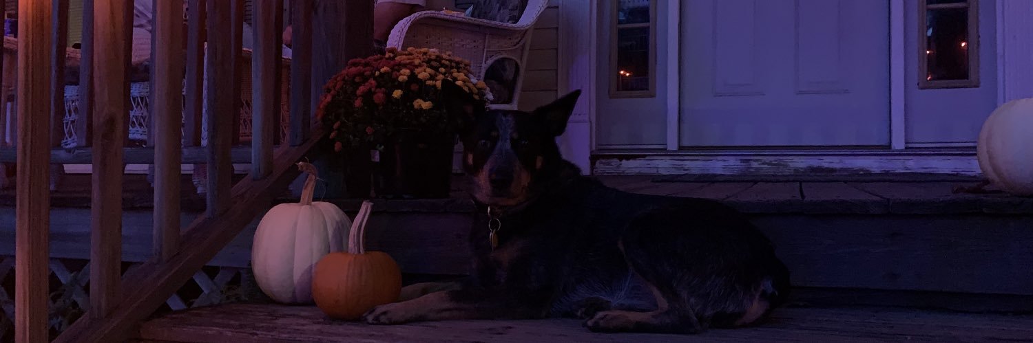 srhhoss's profile banner image