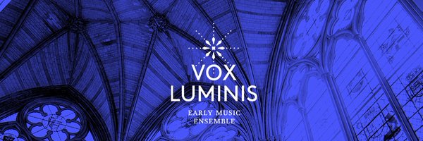 VLuminis Profile Banner