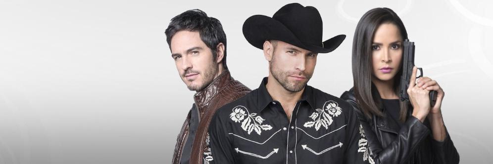 Señor de los Cielos banner